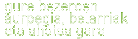 gure bezeroen aurpegia, ahotsa eta belarria gara